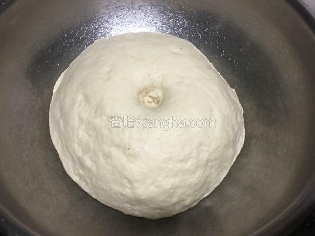 面团盖上保鲜膜发酵两倍大，手指戳下去面团不回缩。