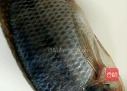 罗非鱼豆腐煲的做法图解1