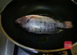 番茄烧鱼的做法图解5