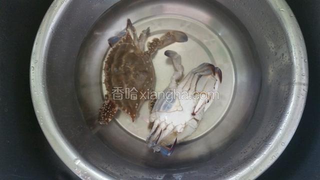 蟹洗净