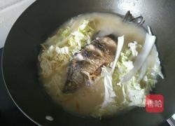 鲫鱼娃娃菜的做法图解12