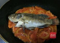 番茄烧鱼的做法图解9
