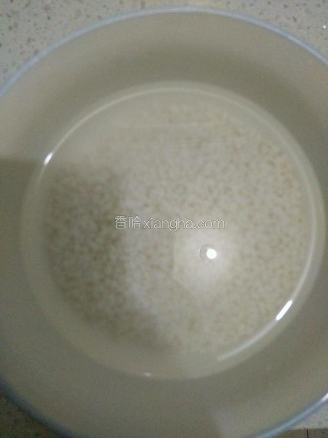 糯米提前泡一夜