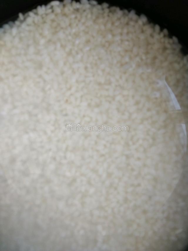 投净放入电饭煲，注意水千万不能多，稍微没过糯米一些就可以了，盖盖插电源按下煮饭键