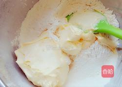 抱坚果的小饼干的做法图解8