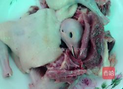 天麻炖乳鸽的做法图解1