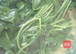 菠菜馅饺子的做法图解4