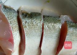 红烧鲢鱼的做法图解4