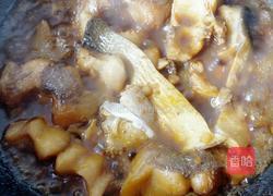 红烧鲢鱼的做法图解8