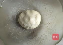 披萨皮的做法图解5