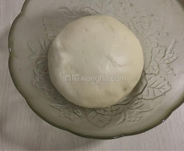 发酵成2倍大了。