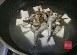 豆腐煮鱼的做法图解7