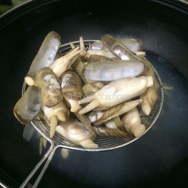 蛏子入开水约1分钟左右，开壳就一个个立马捞出清洗干净沥干水分。