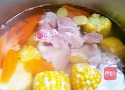 排骨胡萝卜玉米汤的做法图解4
