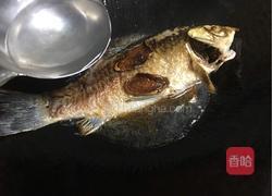野生鲫鱼汤的做法图解6