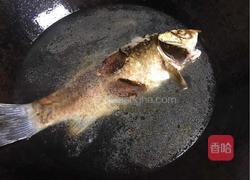 野生鲫鱼汤的做法图解7