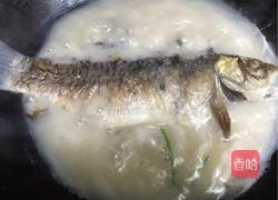 野生鲫鱼汤的做法图解11