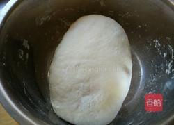 香菇猪肉馅包子的做法图解3