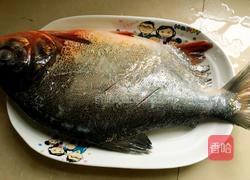 泡椒烧鳊鱼的做法图解1