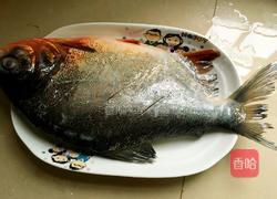 泡椒烧鳊鱼的做法图解2