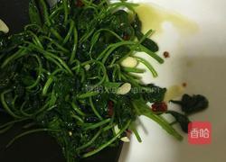 香炒红薯尖的做法图解4