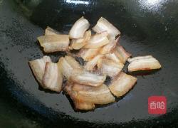 胡萝卜回锅肉的做法图解6