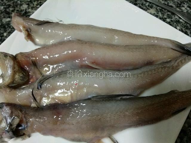 豆腐鱼