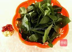 凉拌地瓜叶的做法图解1