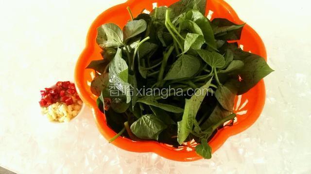 准备材料：红薯叶摘洗干净，姜、蒜切粒，小米椒切圈。