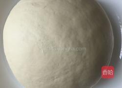 大葱香菇猪肉包的做法图解2