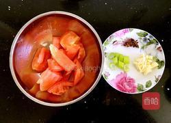 素红烧茄子的做法图解2