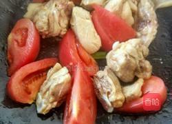 番茄炖鸡的做法图解6