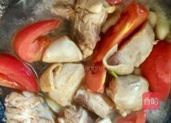 番茄炖鸡的做法图解7