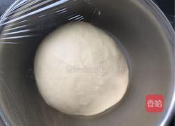 椰蓉面包的做法图解5