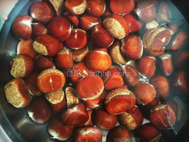 然后把栗子放入锅中加入清水用大火煮至十分钟在用小火十分钟即可