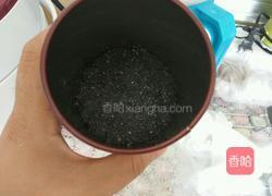 黑芝麻糕的做法图解6