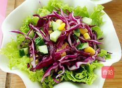 紫甘蓝蔬菜沙拉的做法图解6