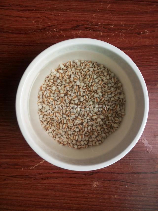 薏米用清水泡4小时