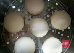 白面馒头的做法图解10