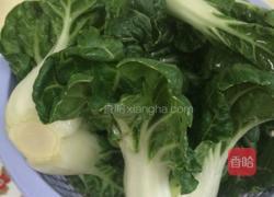 木耳白菜的做法图解2