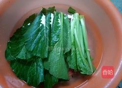 炒芥菜的做法图解1