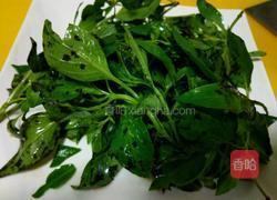 荆芥鱿鱼须的做法图解2