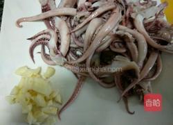 荆芥鱿鱼须的做法图解4
