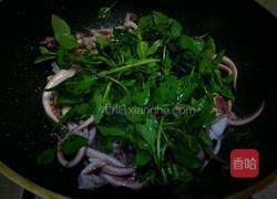 荆芥鱿鱼须的做法图解8