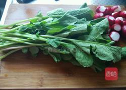 凉拌萝卜叶的做法图解1