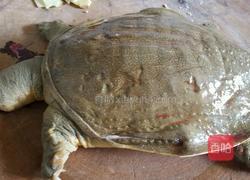 生炒甲鱼的做法图解1