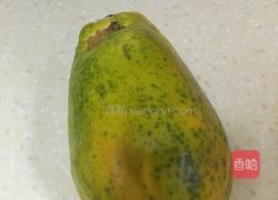 木瓜炖燕窝的做法图解12