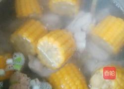 骨头玉米汤的做法图解8