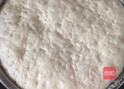 萝卜丝粉丝虾皮包子的做法图解1