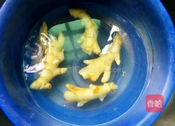 凉拌嫩姜的做法图解1